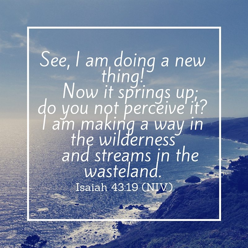 See, I am doing a new thing! Now it springs up; do you not perceive it-I am making a way in the wilderness and streams in the wasteland..jpg